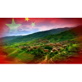 祖国系列294
