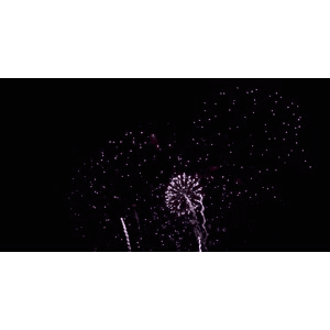 烟花5