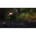 烟花10