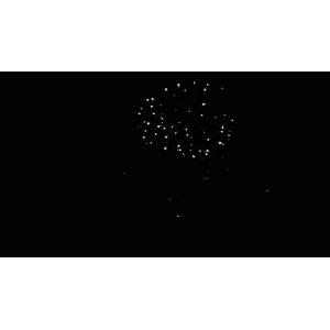 烟花12
