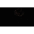 烟花12