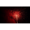 烟花14