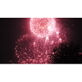 烟花16