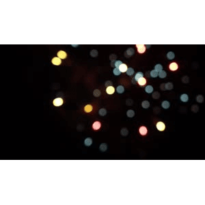 烟花17
