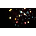 烟花17
