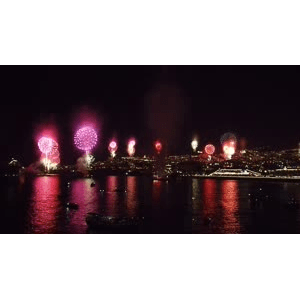 烟花19