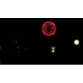 烟花46