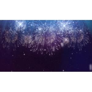 烟花56