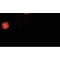 烟花59