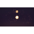 烟花61
