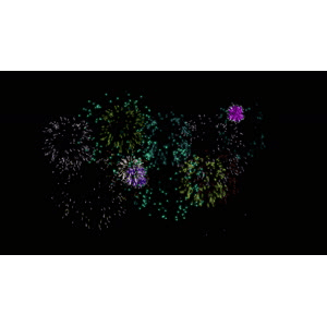 烟花65