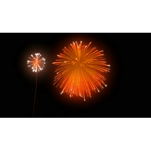 烟花69