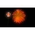 烟花69