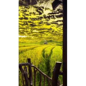 旅行风景268