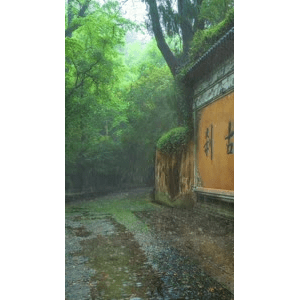 旅行风景270