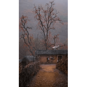 旅行风景274