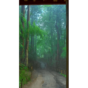 旅行风景276