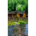 旅行风景285
