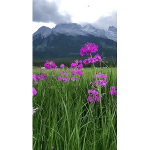 旅行风景325
