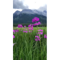 旅行风景325