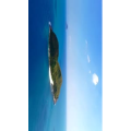 旅行风景334