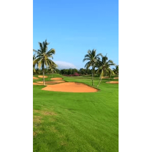旅行风景342