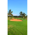 旅行风景342