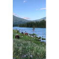 旅行风景352