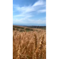 旅行风景353