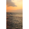 旅行风景359