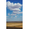 旅行风景395