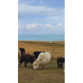 旅行风景411