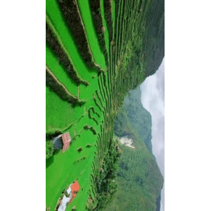 旅行风景416