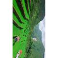 旅行风景416