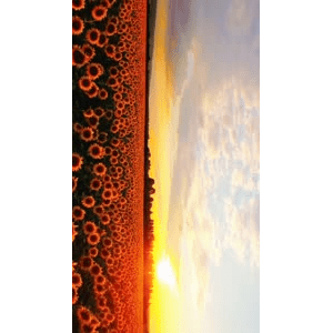 旅行风景418