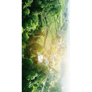 旅行风景430