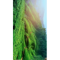 旅行风景440