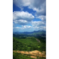 旅行风景448