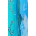 旅行风景456
