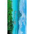 旅行风景457
