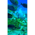 旅行风景482