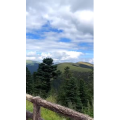 旅行风景503