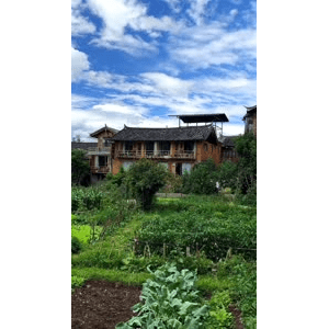 旅行风景505