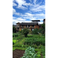 旅行风景505