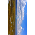 旅行风景508