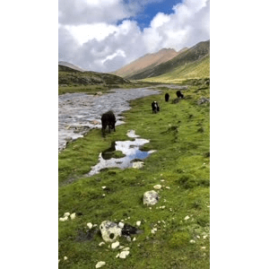 旅行风景509
