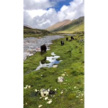 旅行风景509