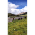 旅行风景510