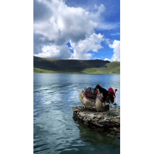 旅行风景521