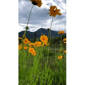 旅行风景527